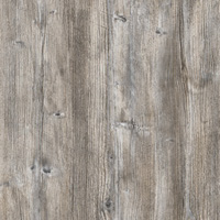 APL_204 - Ponderosa pine - Ponderosa pine